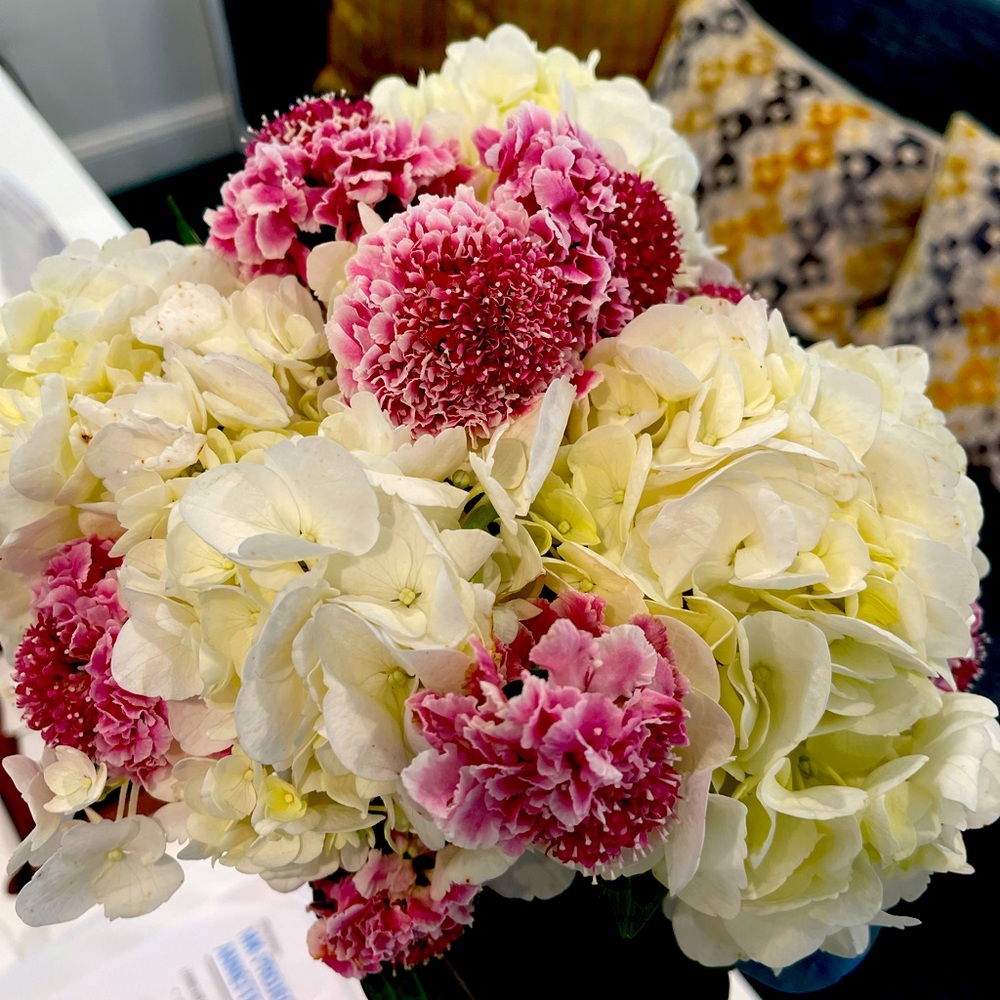 Meet your Posher, Annette